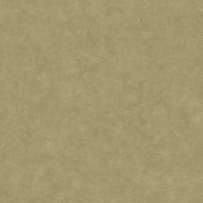 Caselio - Uni Metallise/Nacre Vert Beton 2