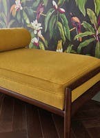 Michelia Empyrea Michelia Charocal