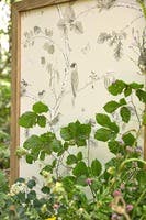 Woodland Chorus Sepia/Neu Country Woodland Wallcove