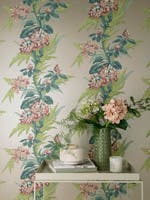 Aurora Moss NW Aurora