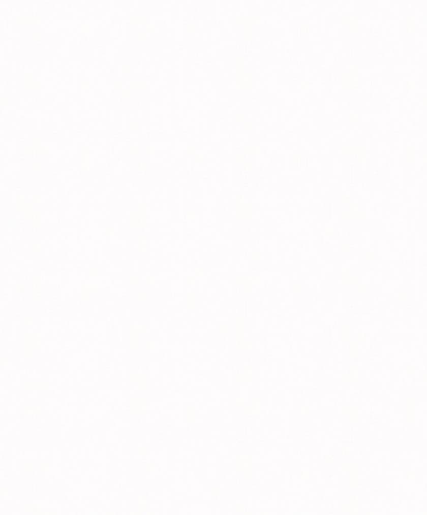 Carma - Profil Mix 10