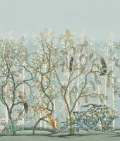 Manuel Canovas - La Voliere Aqua