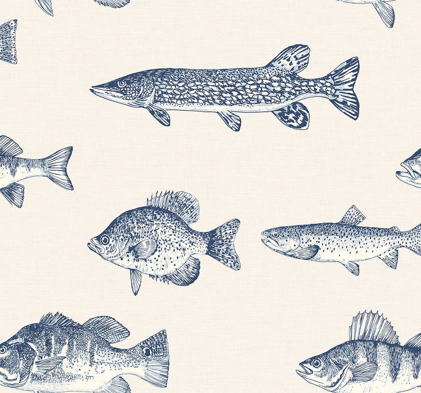 Carma - Trout