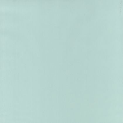 Caselio - Uni Mint Basics