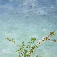 Chettinad Scenes And Murals II