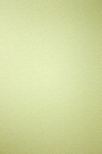 Osborne & Little - Oriole Pale Lime