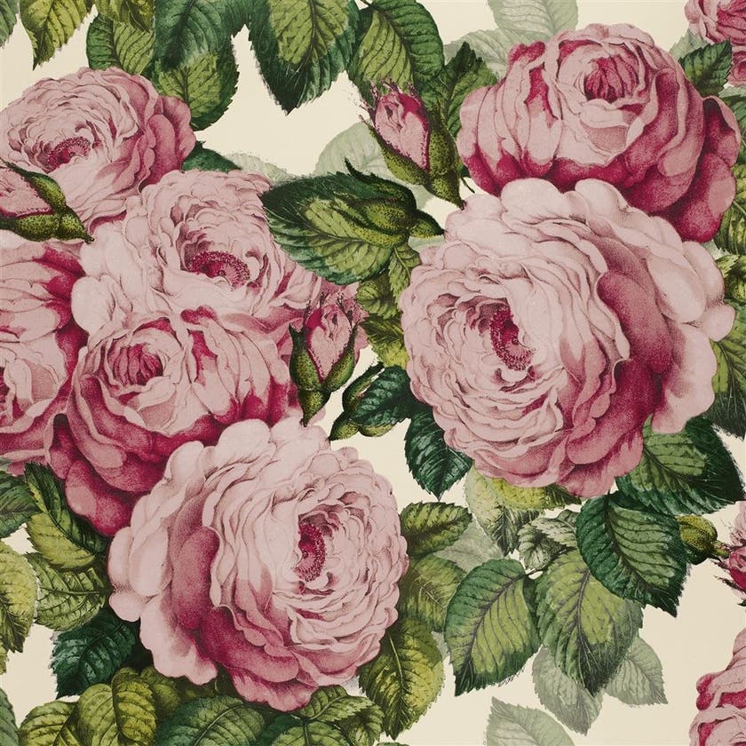 The Rose Picture Book Wallpapers I