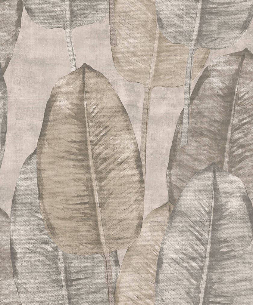 Rubber Tree