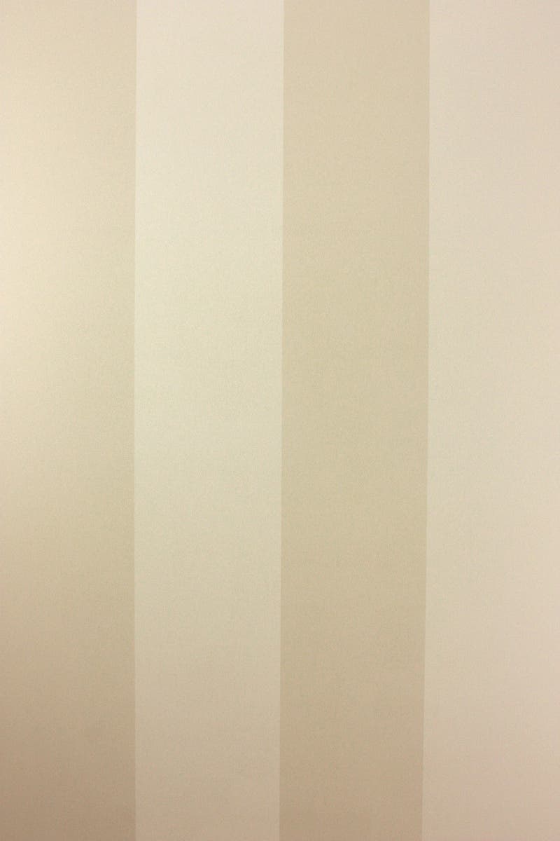 Osborne & Little - Zingrina Ivory