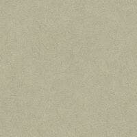 MASAYA VERT LICHEN RIVERSIDE 4