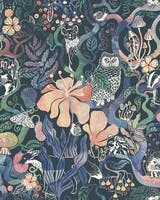 Fairyland Magic Woods