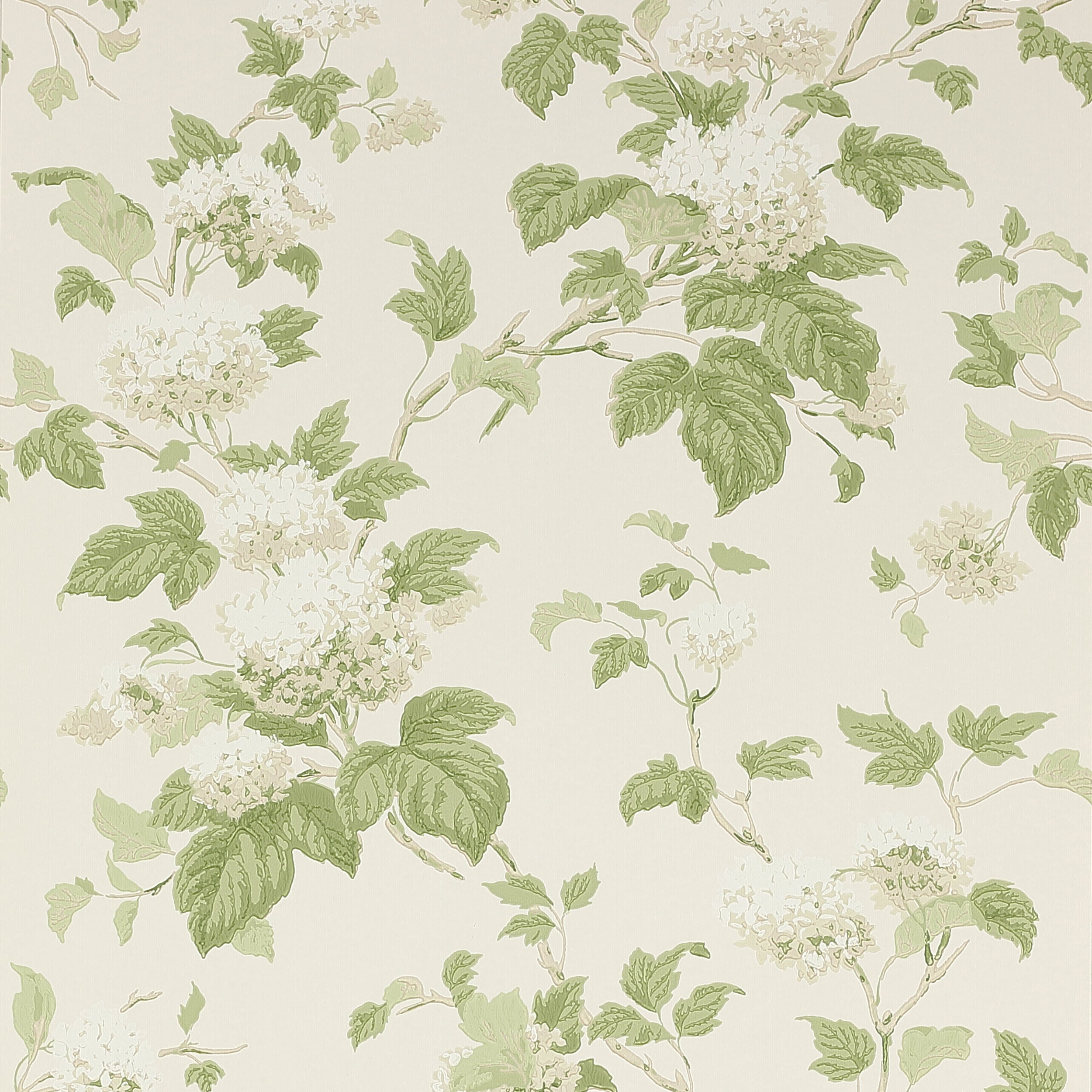 Colefax and Fowler - Chantilly Ivory/Leaf