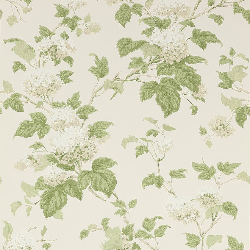 Colefax and Fowler - Chantilly Ivory/Leaf