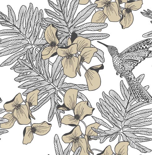 Carma - Hummingbird Jet NW Aurora