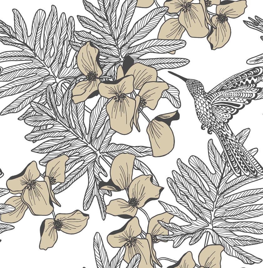 Carma - Hummingbird Jet NW Aurora