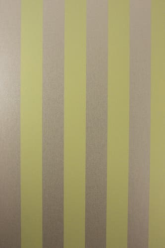 Osborne & Little - Stripe Chart