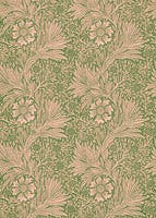 Marigold Pink/Olive Queen Square Wallpapers