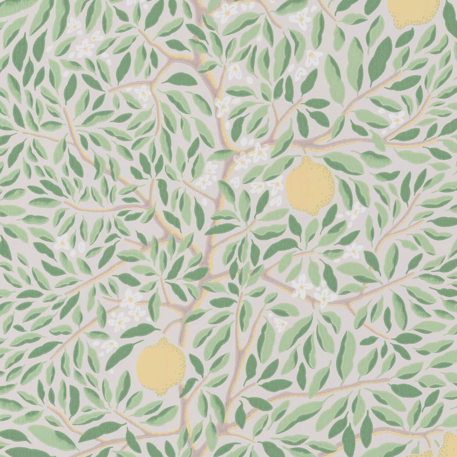 Citrus Ashy Greenery Norrviva