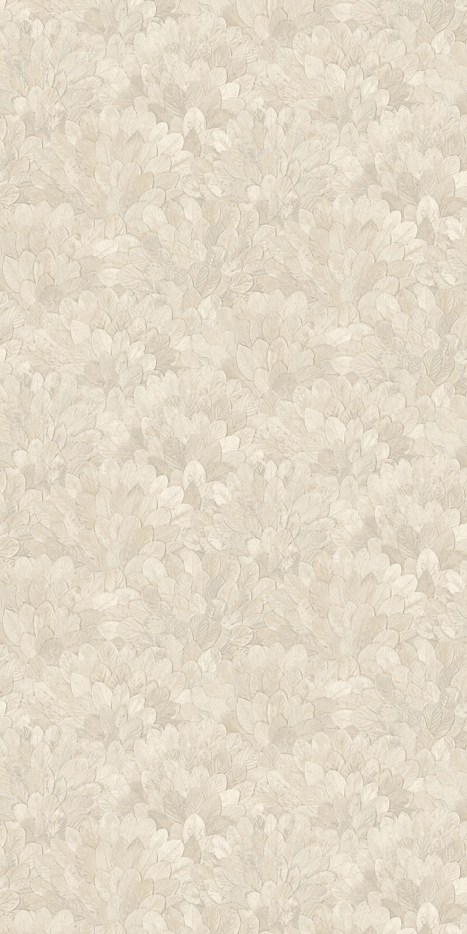 Casamance - Feijoa Ivoire Modernismo