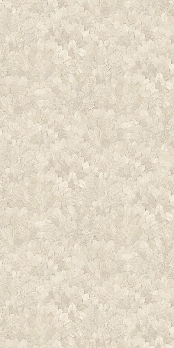 Casamance - Feijoa Ivoire Modernismo