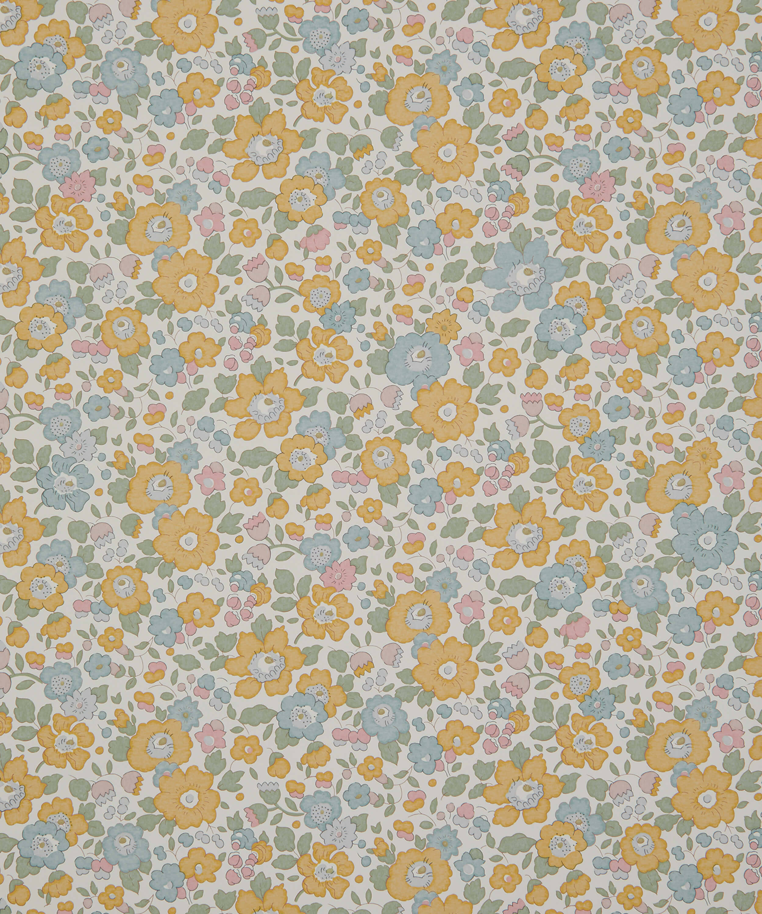 Liberty - Betsy Bloom Salvia 