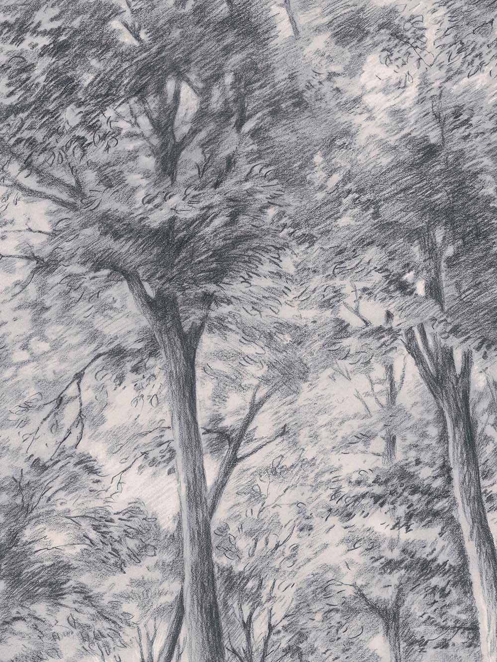 Boråstapeter - Sketch of Trees