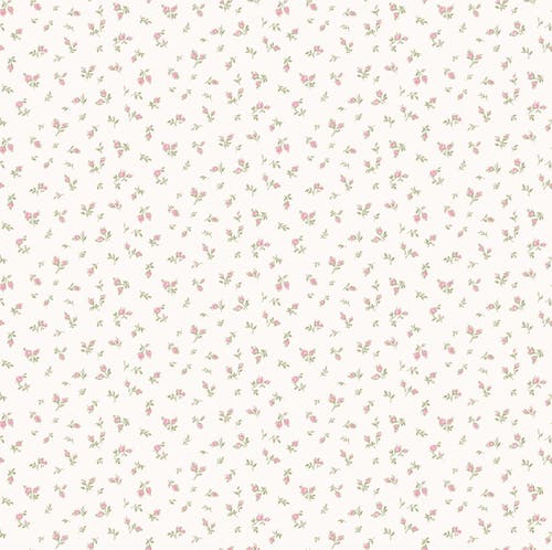 Carma - Blooming Garden