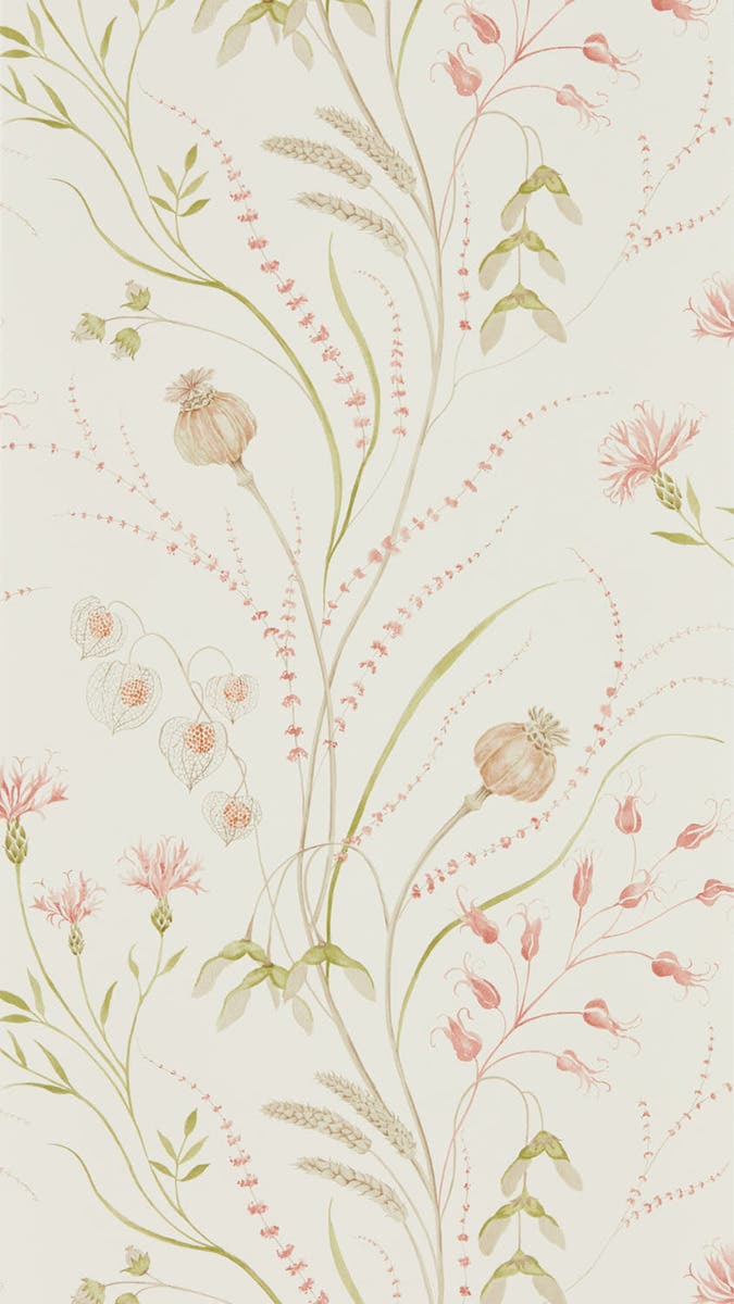 Summer Harvest Claret/Oli Embleton Bay Wallpapers