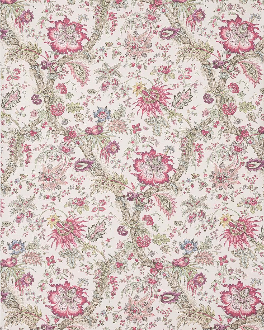 Manuel Canovas - Adelaide WC Cerise