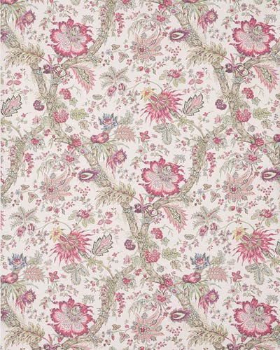 Manuel Canovas - Adelaide WC Cerise