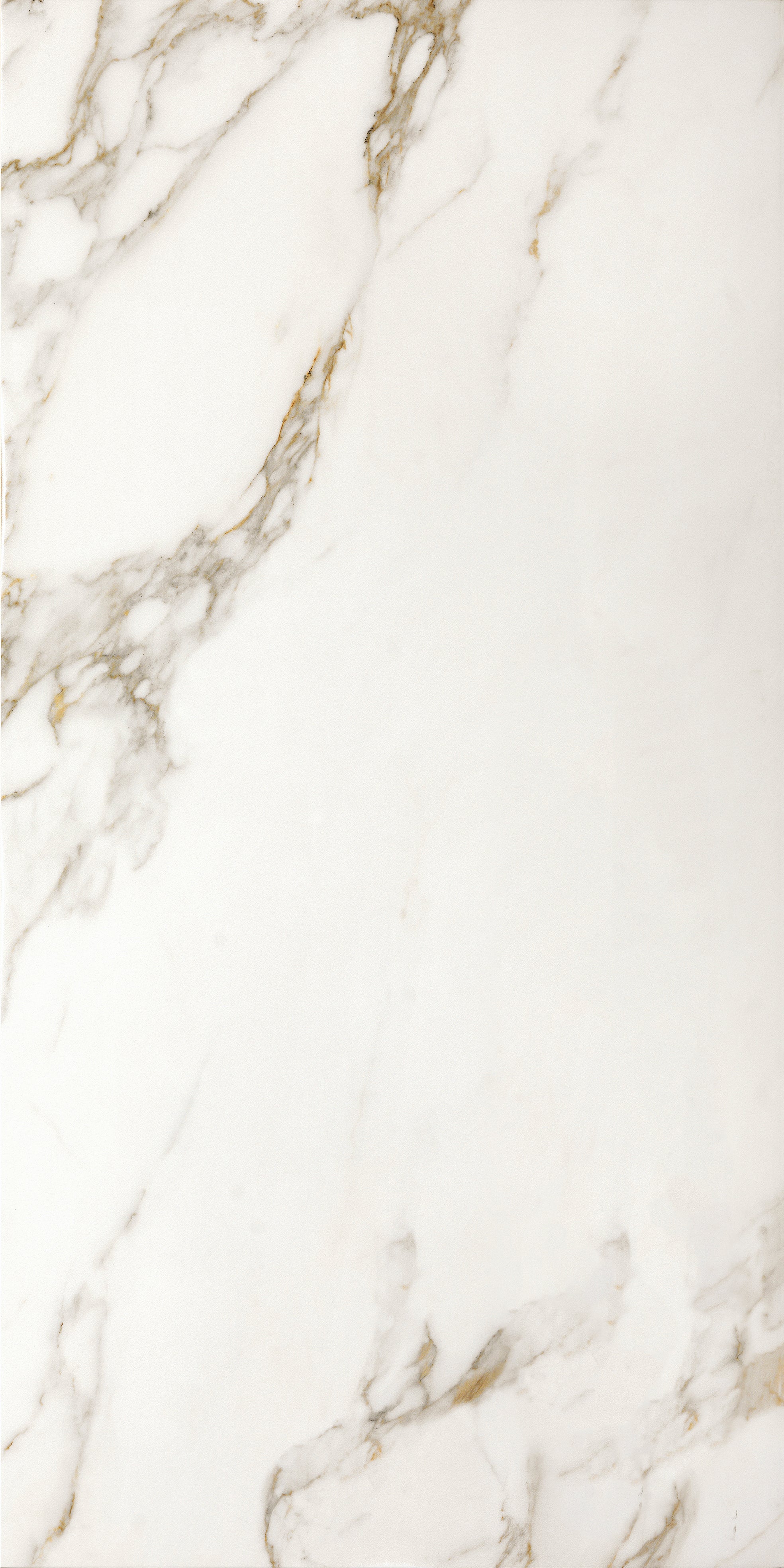 Invite Calacatta gold 60x120 såg