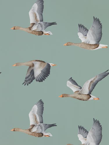 Sanderson - Elysian Geese Blue Clay Arboretum Wallpapers