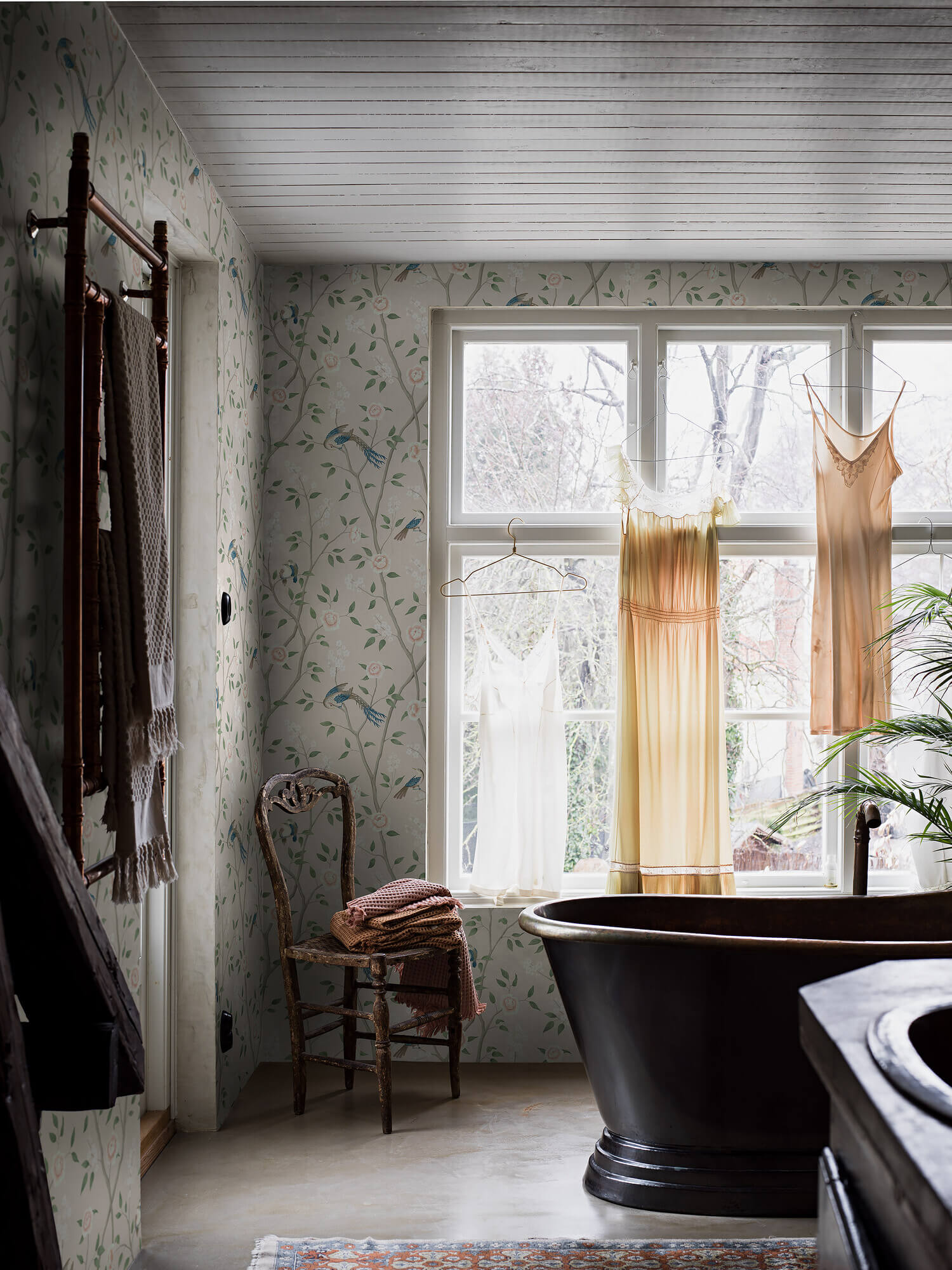 Boråstapeter - Paradise Birds