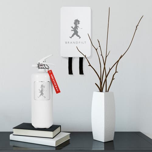 Brandsläckare 2 kg Vit/Silver