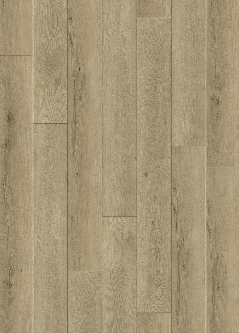 Softstep SYNQ Cohiba