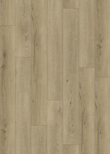 Softstep SYNQ Cohiba