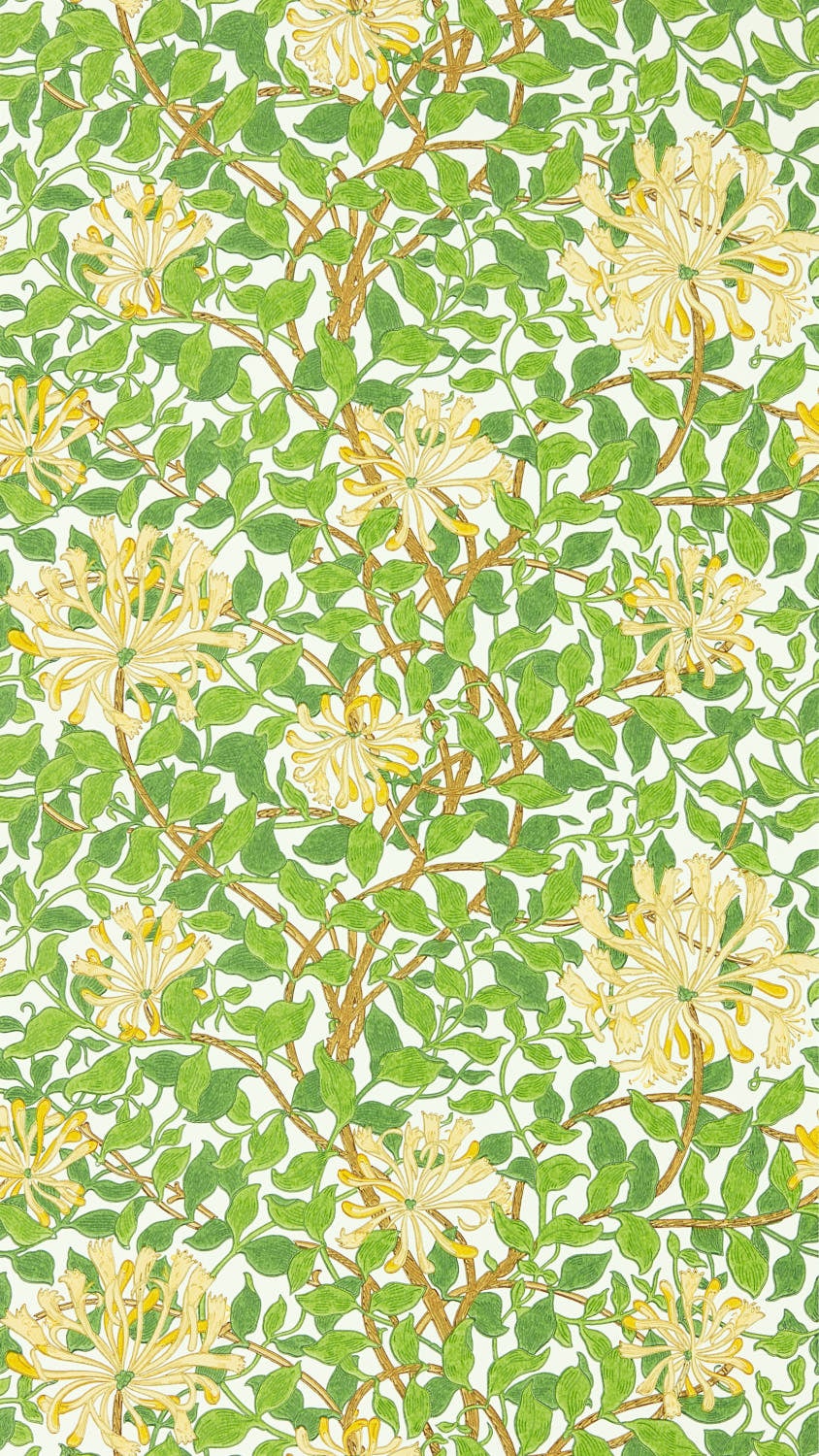 Morris & Co - Honeysuckle Cream/Chocola Cornubia Wallpapers
