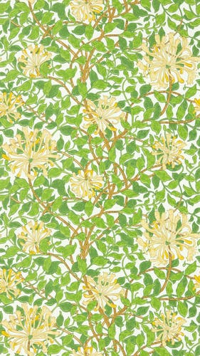 Morris & Co - Honeysuckle Cream/Chocola Cornubia Wallpapers