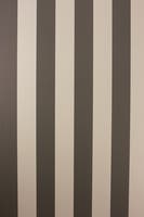 STRIPE METALLICO VINYLS STRIPE C