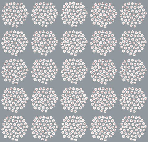 Midbec Tapeter - Puketti Marimekko 6