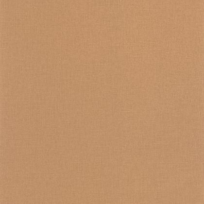 Caselio - Uni Camel Basics