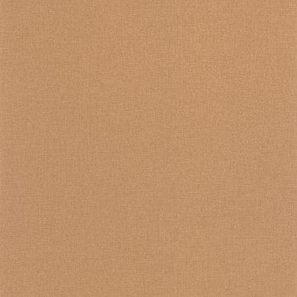 Caselio - Uni Camel Basics