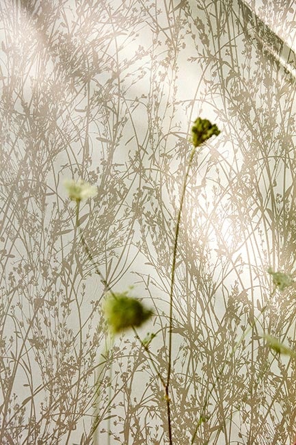 Sanderson - Meadow Canvas Gilver/Line Country Woodland Wallcove