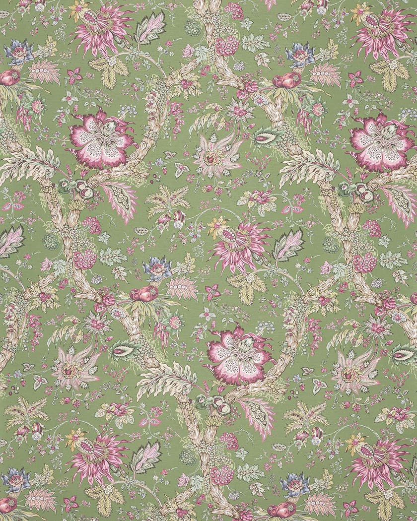 Manuel Canovas - Adelaide WC Prairie