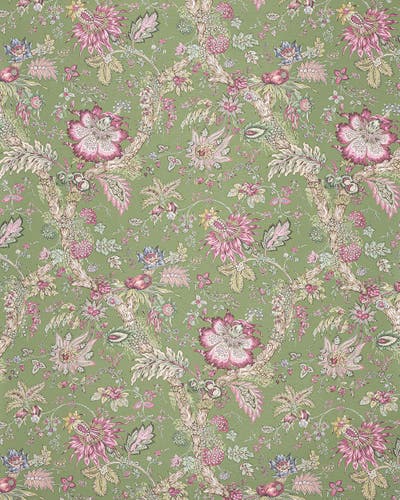 Manuel Canovas - Adelaide WC Prairie