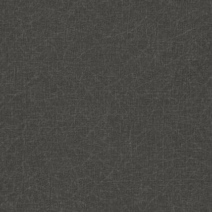 JAVA NOIR REGLISSE SO COLOR 5