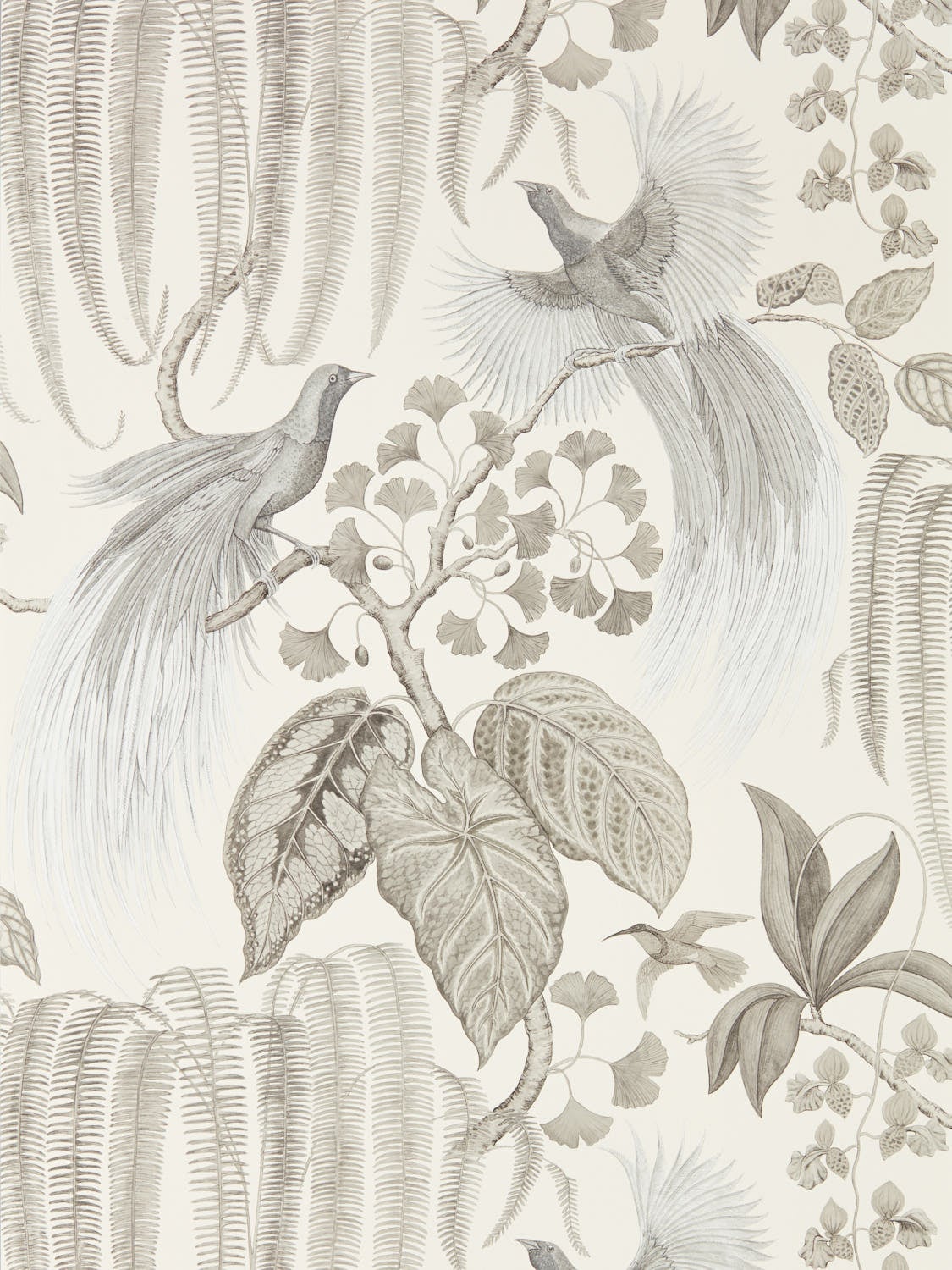 Sanderson - Bird Of Paradise Linen Glasshouse Wallpapers
