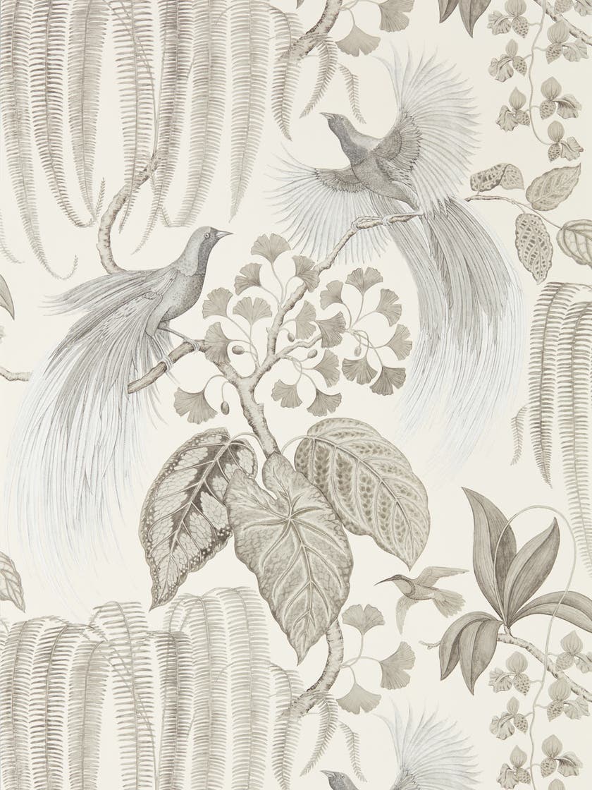 Sanderson - Bird Of Paradise Linen Glasshouse Wallpapers