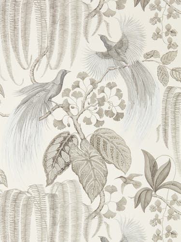 Sanderson - Bird Of Paradise Linen Glasshouse Wallpapers