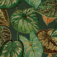Tropical Leaves